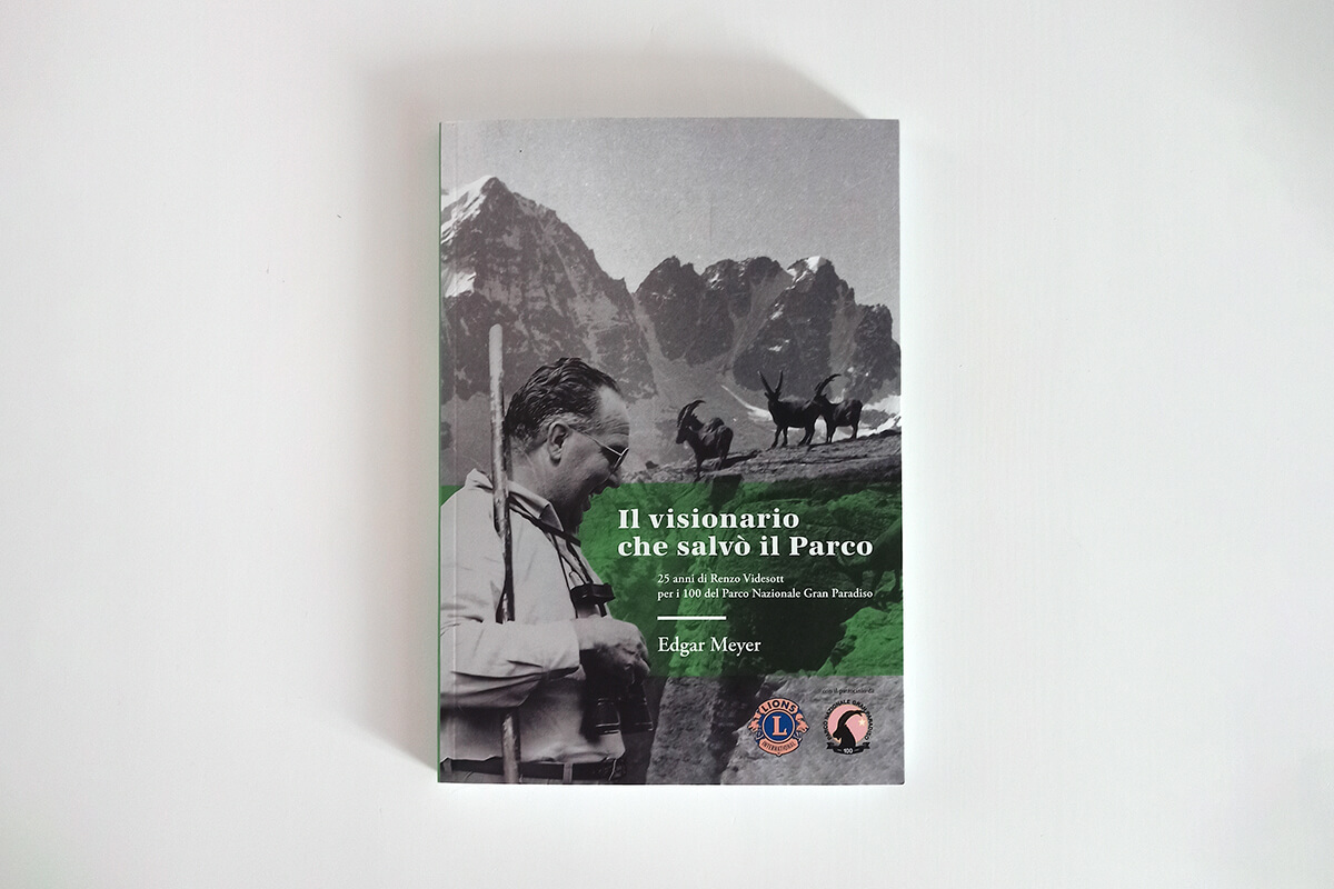 videsott-pagine_3dettaglio_copia