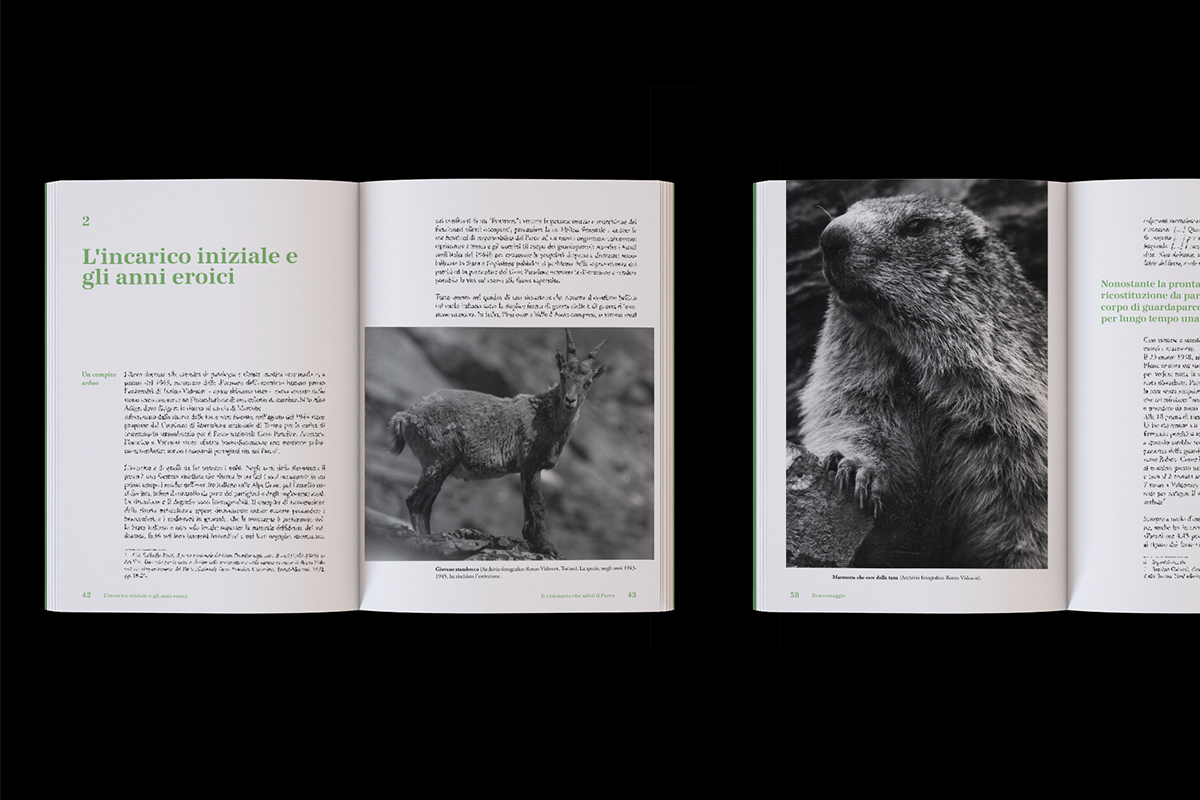 videsott-pagine_copia